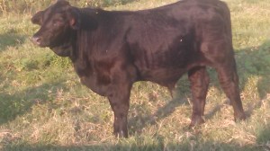 IMG_20140910_182910_442