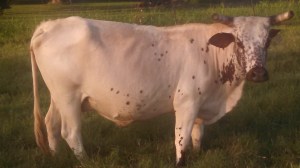 IMG_20140910_183411_698