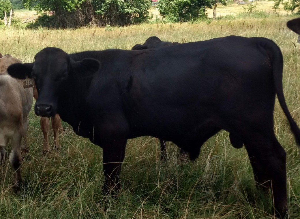 img_20180704_111046443_hdr